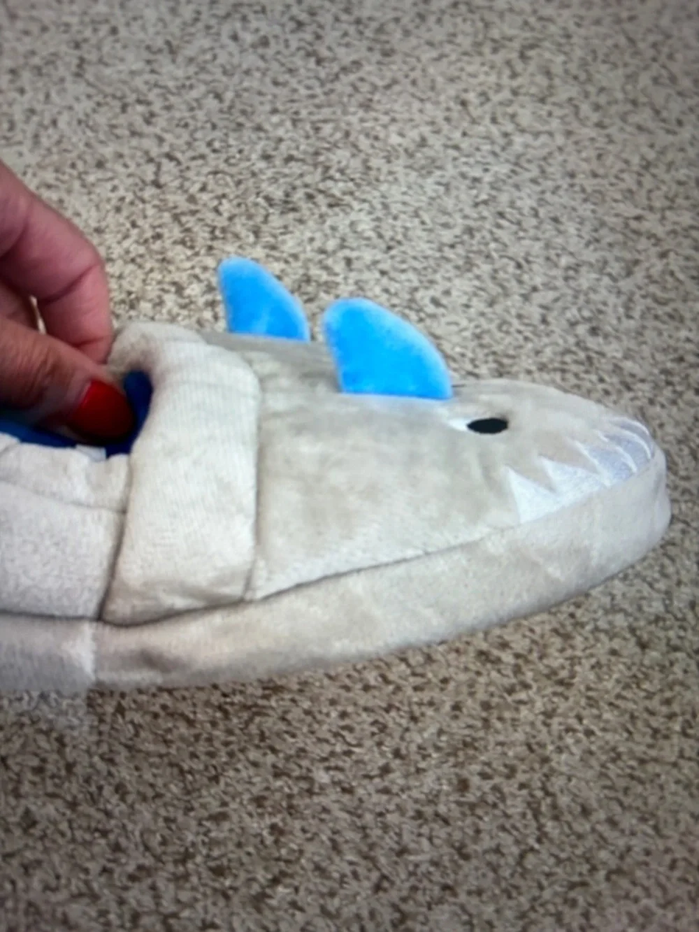 Tucker and Tate shark slippers, 11